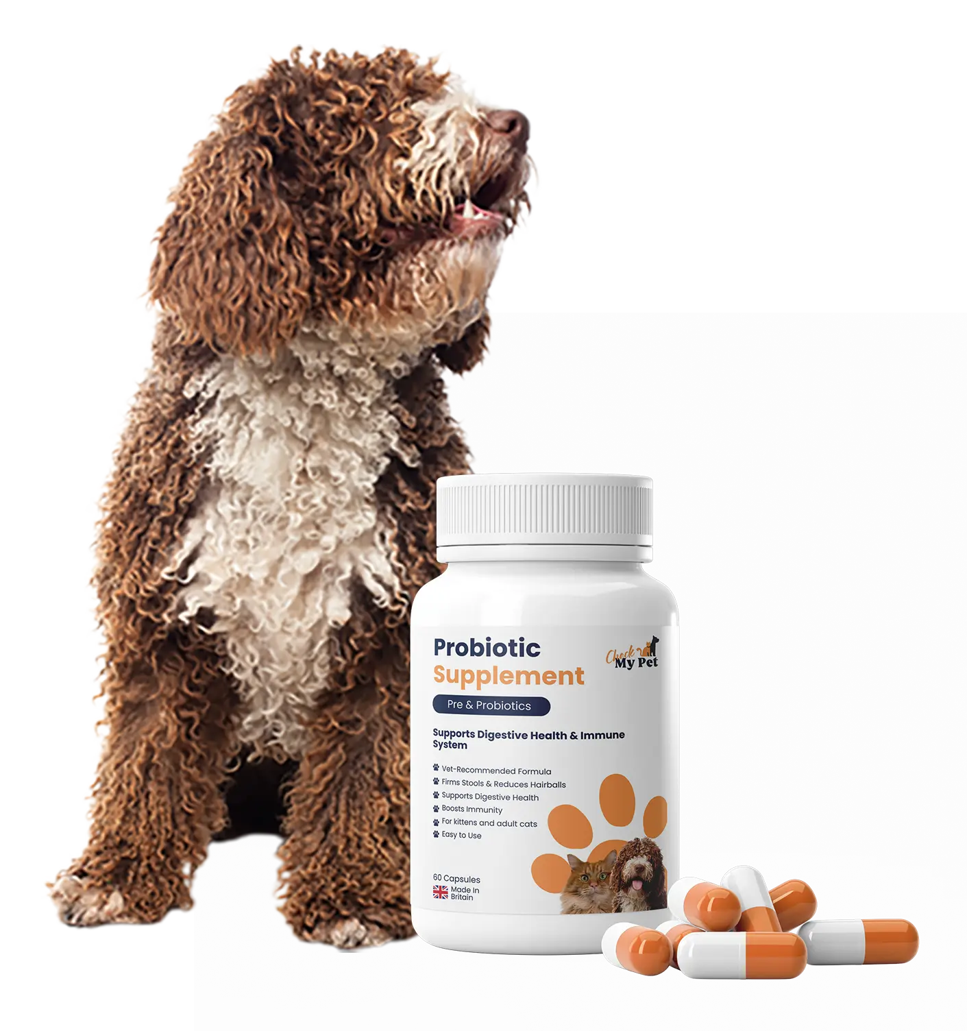 Probiotics for Dogs
